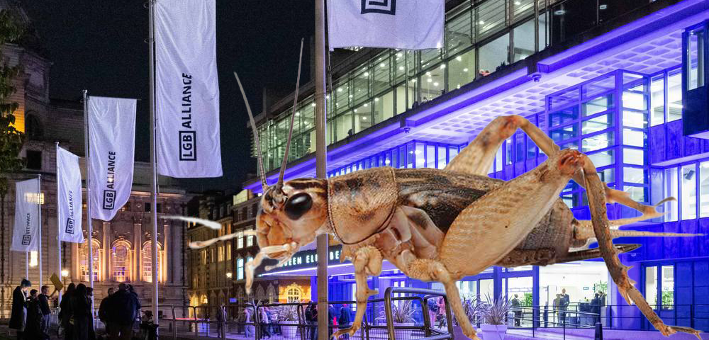 Protesters Unleash Live Crickets At Anti-Trans LGB Alliance Conference